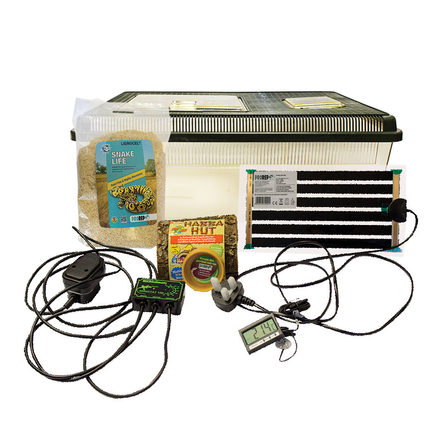 hatchling starter kit